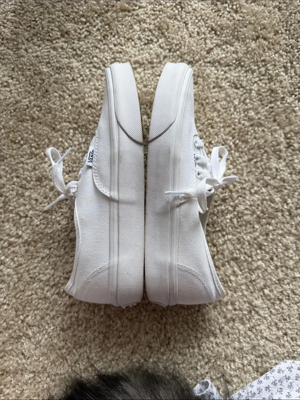 Vans White Low-Top Canvas Sneakers